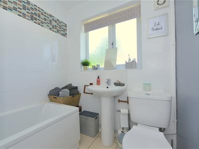 Picture 16